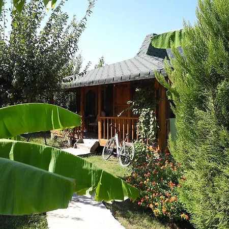 Smile Hotel 3*